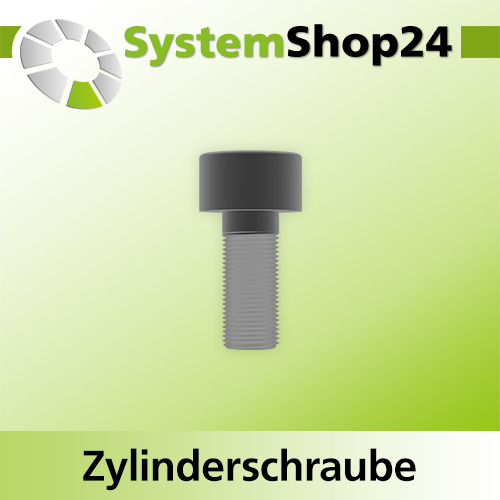 Systemshop24 Zylinderschraube mit Innensechskant für Kugellager M2,5x6mm SW2,5mm