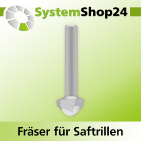 Systemshop24 Fräser für Saftrillen HM Z3 D19mm...