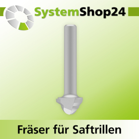 Systemshop24 Fräser für Saftrillen HM Z3 D19mm...