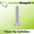 Systemshop24 Fräser für Saftrillen HM Z3 D19mm...