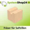 Systemshop24 Fräser für Saftrillen HM Z3 D19mm...