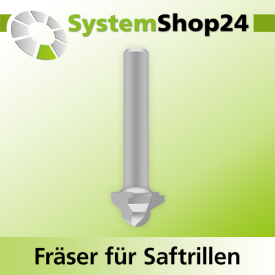 Systemshop24 Fräser für Saftrillen HM Z3 D19mm...
