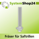 Systemshop24 Fräser für Saftrillen HM Z3 D19mm...