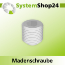 Systemshop24 Madenschraube mit Innensechskant Edelstahl...