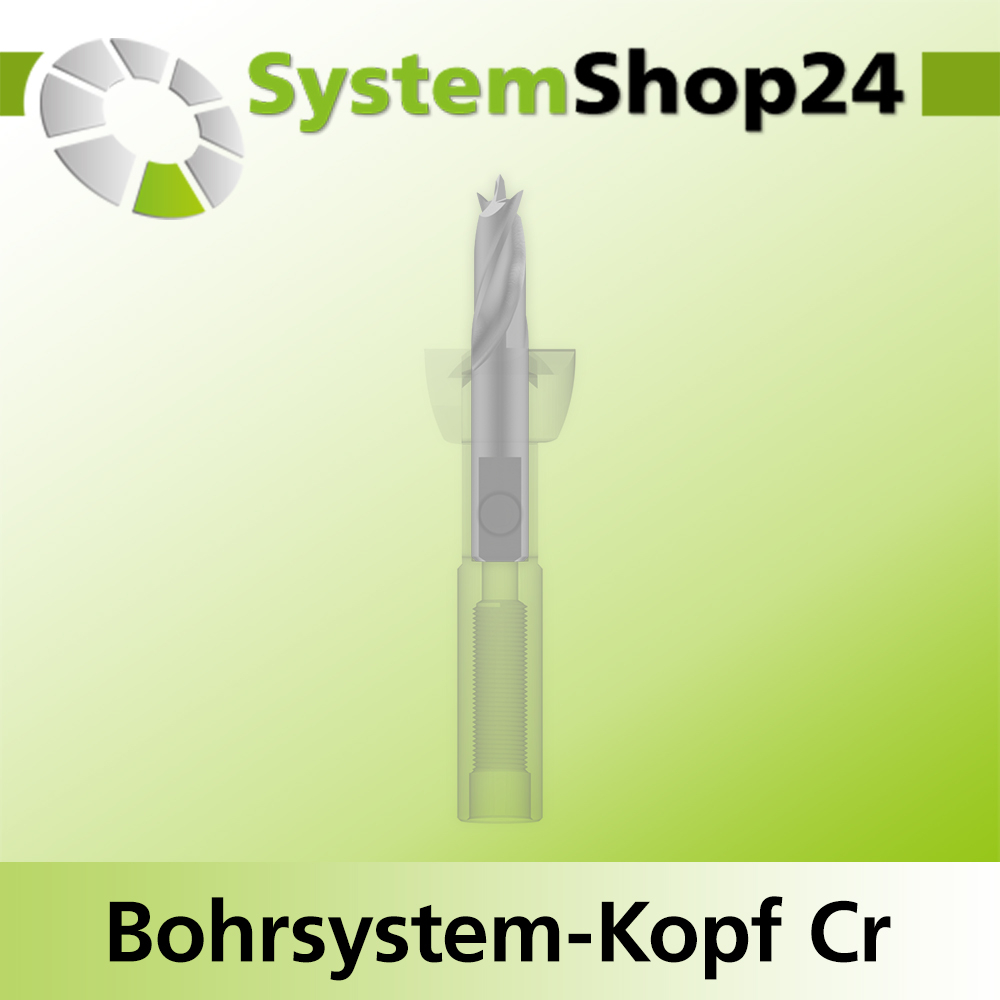 Systemshop24 Bohrsystem-Kopf Chromstahl D16mm d6mm H9mm SW8mm GL50mm S Gewinde innen M6 mit Passsitz RL