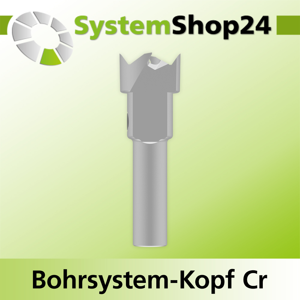 Systemshop24 Bohrsystem-Kopf Chromstahl D16mm d6mm H9mm SW8mm GL50mm S Gewinde innen M6 mit Passsitz RL