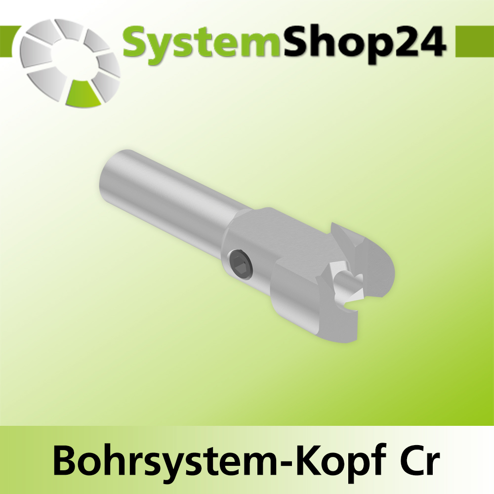 Systemshop24 Bohrsystem-Kopf Chromstahl D16mm d6mm H9mm SW8mm GL50mm S Gewinde innen M6 mit Passsitz RL