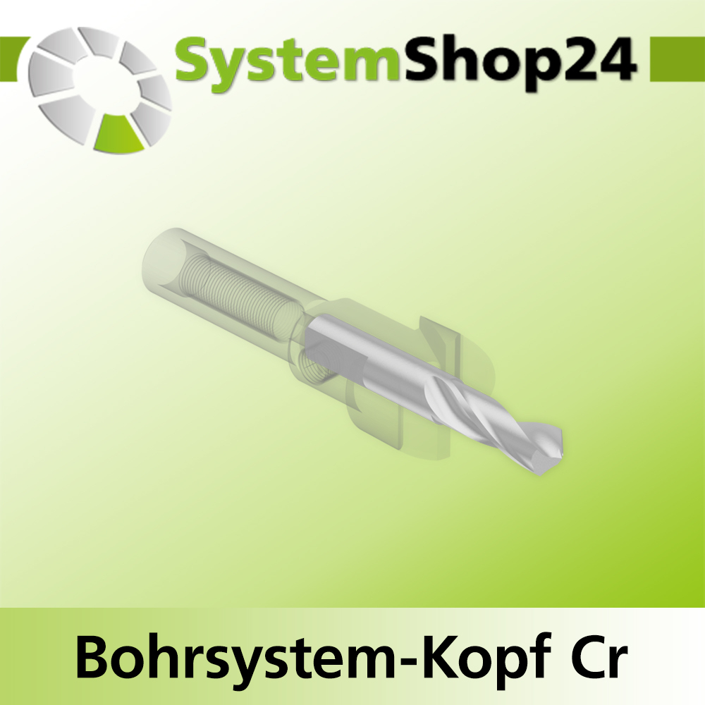 Systemshop24 Bohrsystem-Kopf Chromstahl D16mm d6mm H9mm SW8mm GL50mm S Gewinde innen M6 mit Passsitz RL