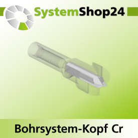 Systemshop24 Bohrsystem-Kopf Chromstahl D16mm d6mm H9mm SW8mm GL50mm S Gewinde innen M6 mit Passsitz RL