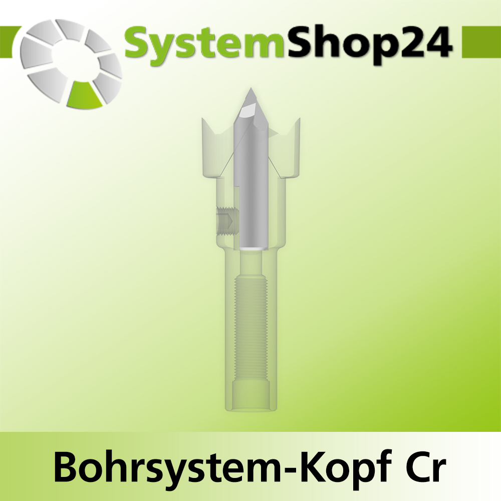 Systemshop24 Bohrsystem-Kopf Chromstahl D17mm d6mm H9mm SW8mm GL50mm S Gewinde innen M6 mit Passsitz RL