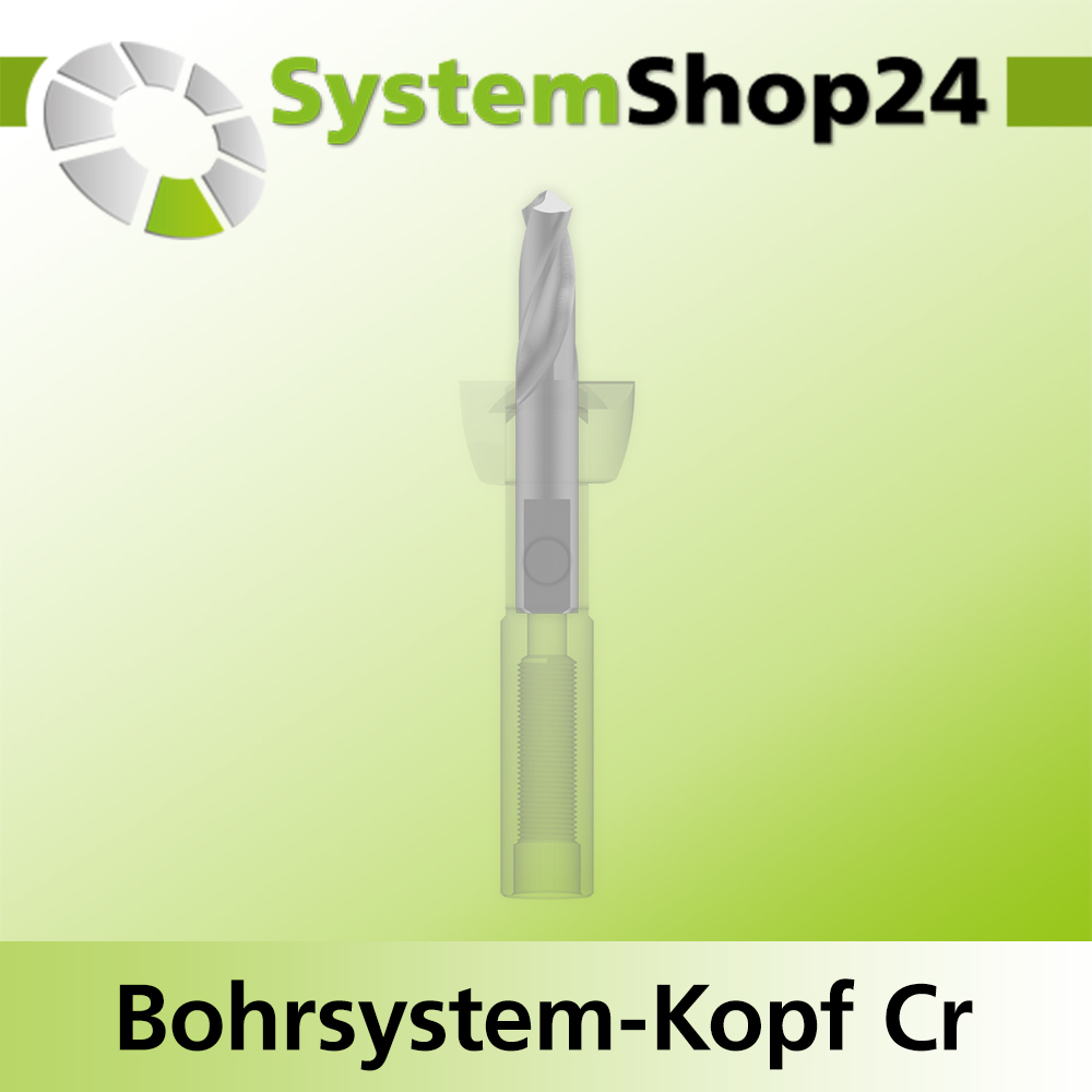 Systemshop24 Bohrsystem-Kopf Chromstahl D17mm d6mm H9mm SW8mm GL50mm S Gewinde innen M6 mit Passsitz RL