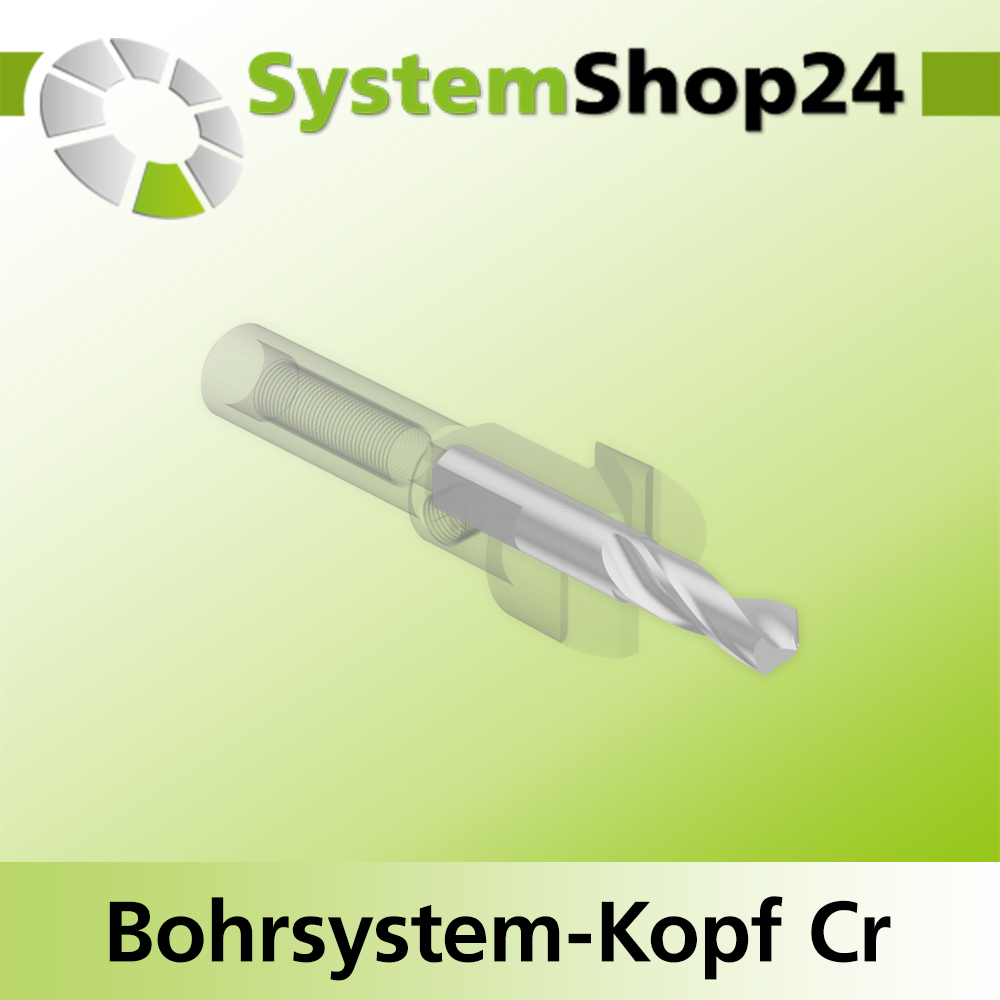 Systemshop24 Bohrsystem-Kopf Chromstahl D17mm d6mm H9mm SW8mm GL50mm S Gewinde innen M6 mit Passsitz RL