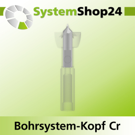 Systemshop24 Bohrsystem-Kopf Chromstahl D17mm d6mm H9mm SW8mm GL50mm S Gewinde innen M6 mit Passsitz RL