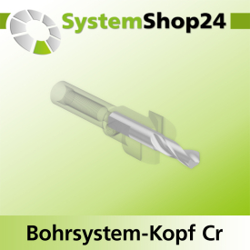 Systemshop24 Bohrsystem-Kopf Chromstahl D17mm d6mm H9mm SW8mm GL50mm S Gewinde innen M6 mit Passsitz RL