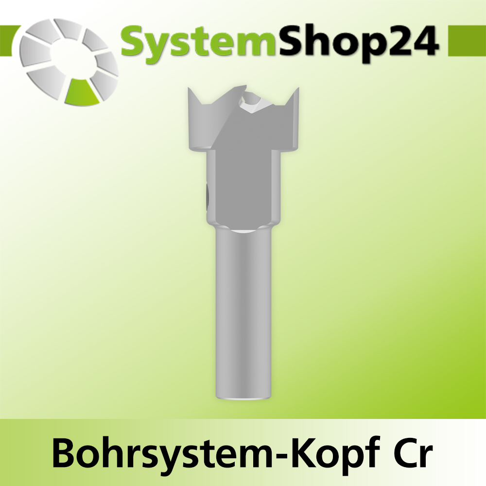 Systemshop24 Bohrsystem-Kopf Chromstahl D18mm d6mm H9mm SW8mm GL50mm S Gewinde innen M6 mit Passsitz RL