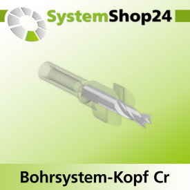 Systemshop24 Bohrsystem-Kopf Chromstahl D18mm d6mm H9mm SW8mm GL50mm S Gewinde innen M6 mit Passsitz RL