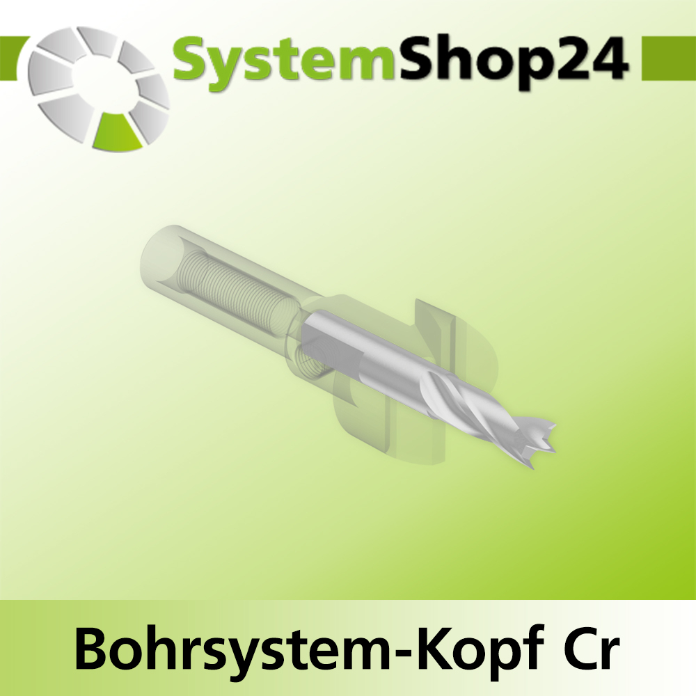 Systemshop24 Bohrsystem-Kopf Chromstahl D19mm (3/4") d6mm H9mm SW8mm GL50mm S Gewinde innen M6 mit Passsitz RL