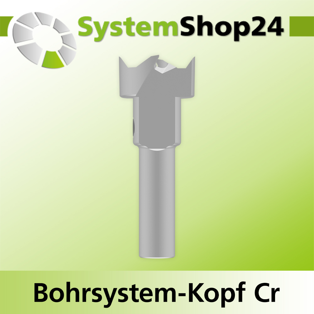 Systemshop24 Bohrsystem-Kopf Chromstahl D19mm (3/4") d6mm H9mm SW8mm GL50mm S Gewinde innen M6 mit Passsitz RL