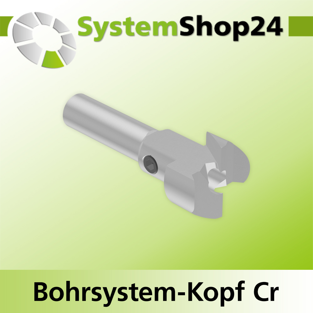 Systemshop24 Bohrsystem-Kopf Chromstahl D19mm (3/4") d6mm H9mm SW8mm GL50mm S Gewinde innen M6 mit Passsitz RL