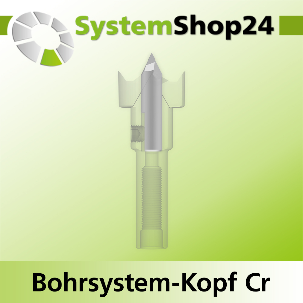 Systemshop24 Bohrsystem-Kopf Chromstahl D19mm (3/4") d6mm H9mm SW8mm GL50mm S Gewinde innen M6 mit Passsitz RL