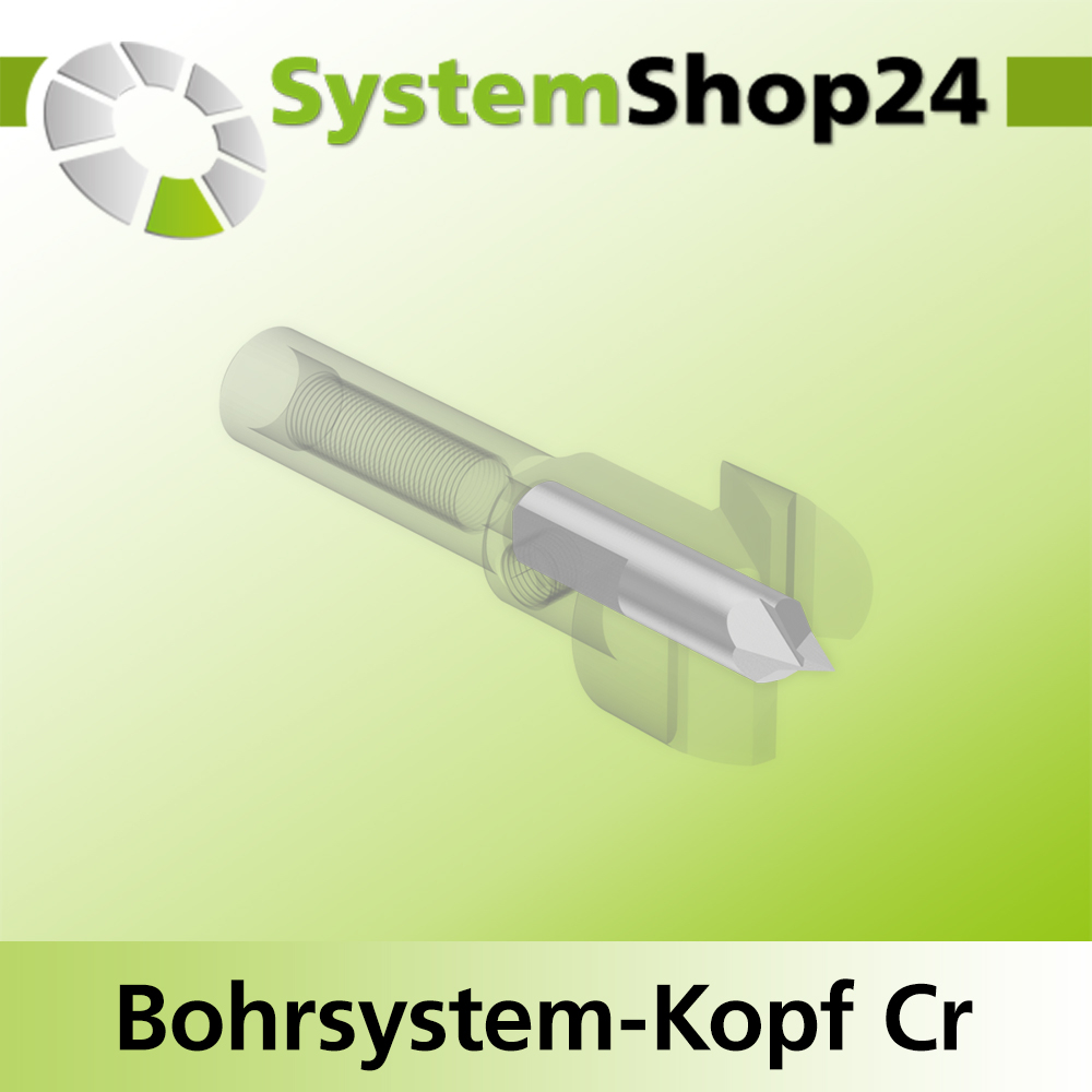 Systemshop24 Bohrsystem-Kopf Chromstahl D19mm (3/4") d6mm H9mm SW8mm GL50mm S Gewinde innen M6 mit Passsitz RL