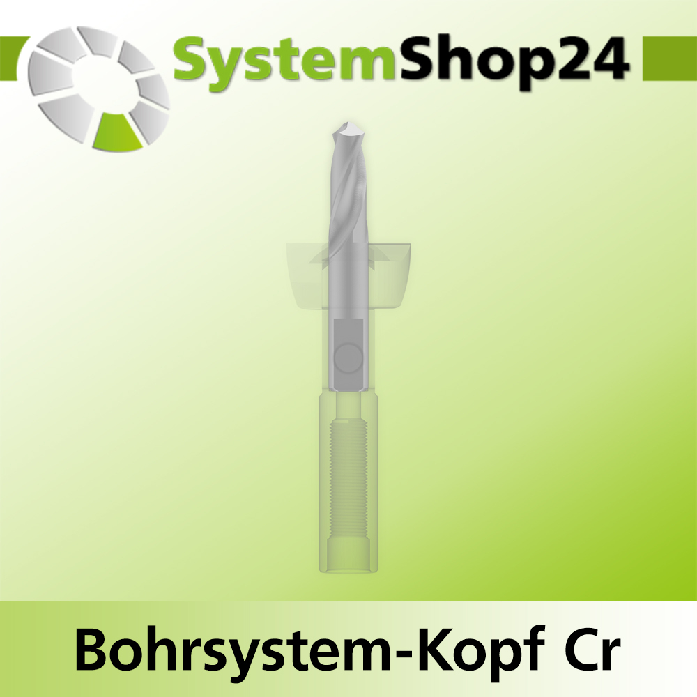 Systemshop24 Bohrsystem-Kopf Chromstahl D19mm (3/4") d6mm H9mm SW8mm GL50mm S Gewinde innen M6 mit Passsitz RL
