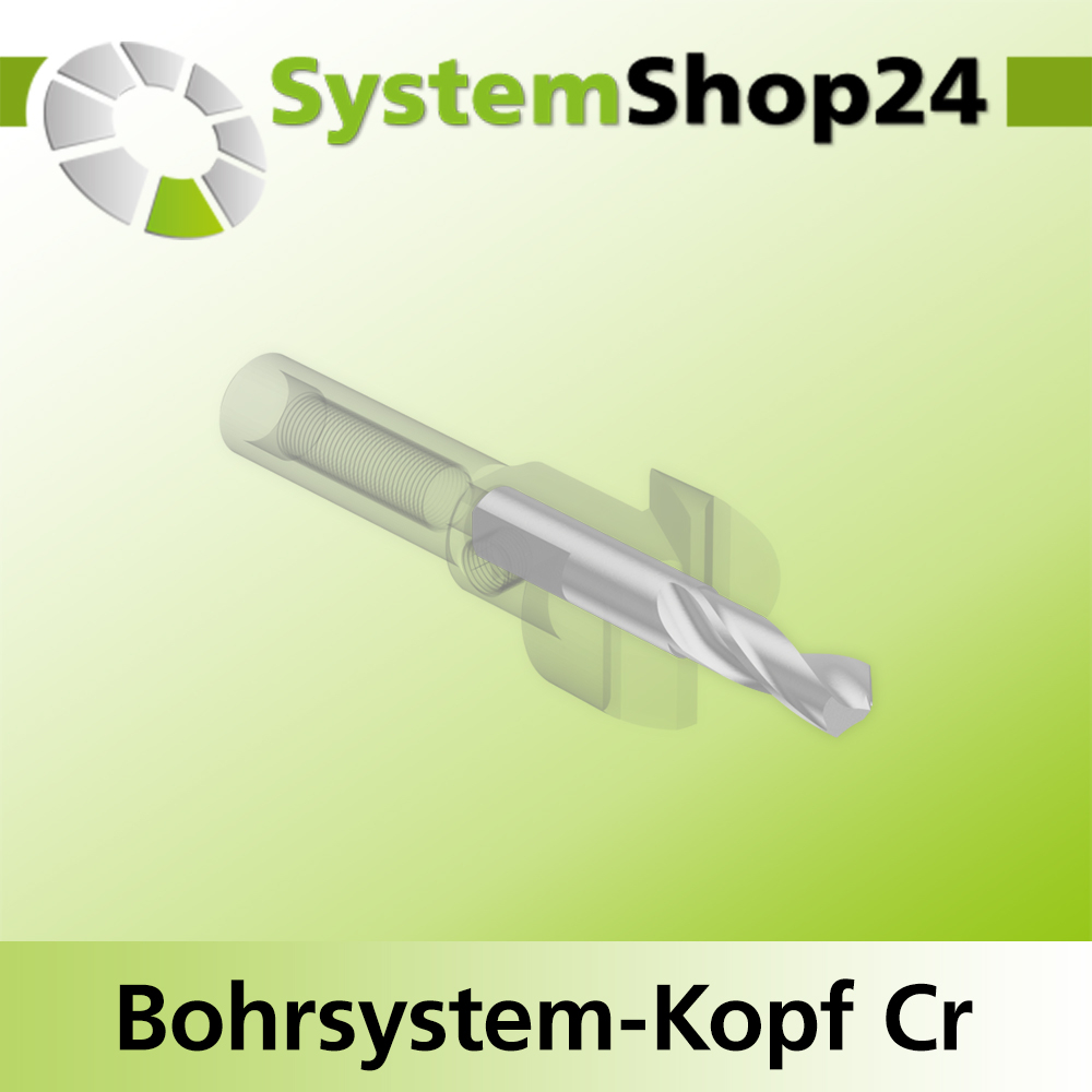 Systemshop24 Bohrsystem-Kopf Chromstahl D19mm (3/4") d6mm H9mm SW8mm GL50mm S Gewinde innen M6 mit Passsitz RL