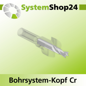Systemshop24 Bohrsystem-Kopf Chromstahl D19mm (3/4") d6mm H9mm SW8mm GL50mm S Gewinde innen M6 mit Passsitz RL