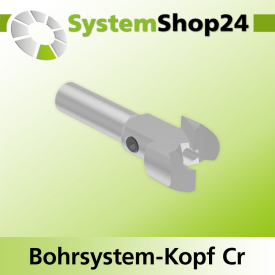 Systemshop24 Bohrsystem-Kopf Chromstahl D19mm (3/4") d6mm H9mm SW8mm GL50mm S Gewinde innen M6 mit Passsitz RL