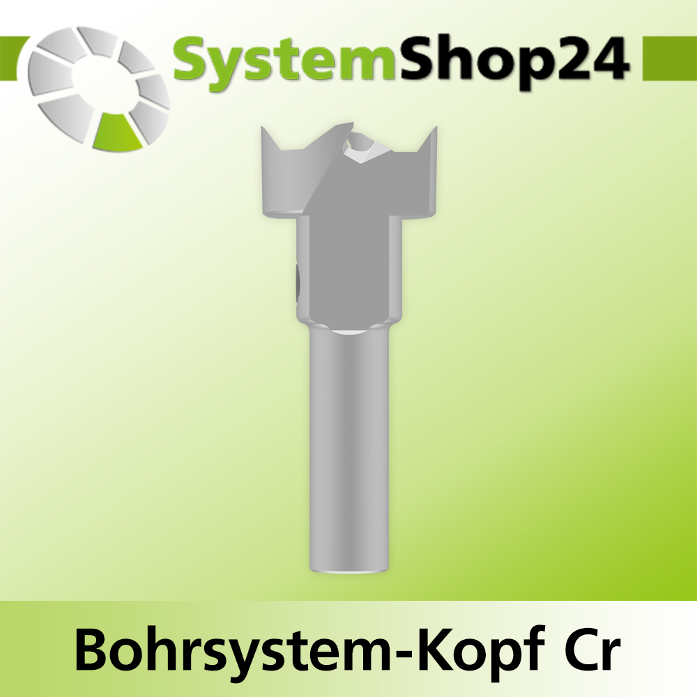 Systemshop24 Bohrsystem-Kopf Chromstahl D20mm d6mm H9mm SW8mm GL50mm S Gewinde innen M6 mit Passsitz RL