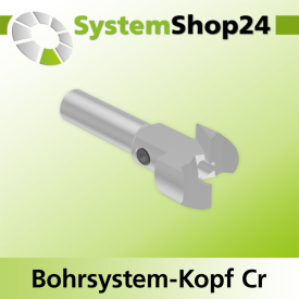 Systemshop24 Bohrsystem-Kopf Chromstahl D20mm d6mm H9mm SW8mm GL50mm S Gewinde innen M6 mit Passsitz RL