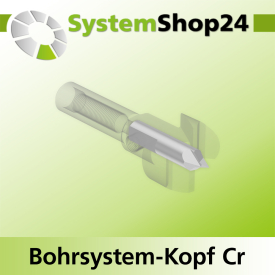 Systemshop24 Bohrsystem-Kopf Chromstahl D20mm d6mm H9mm SW8mm GL50mm S Gewinde innen M6 mit Passsitz RL
