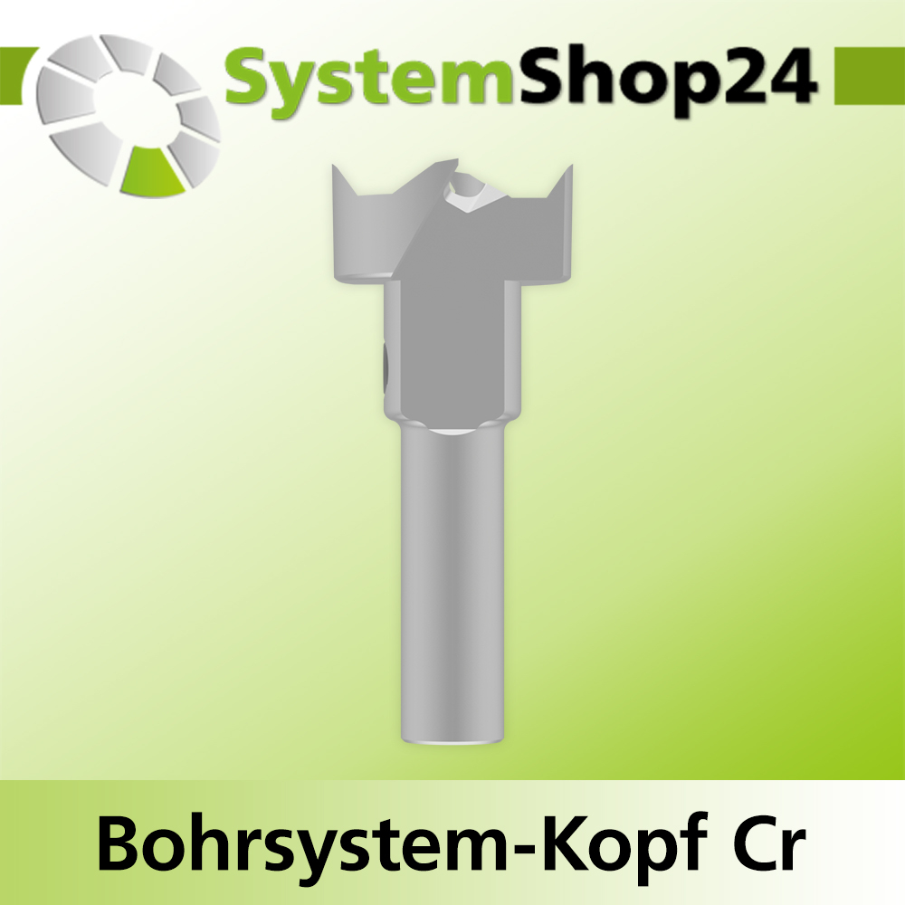 Systemshop24 Bohrsystem-Kopf Chromstahl D21mm d6mm H9mm SW8mm GL50mm S Gewinde innen M6 mit Passsitz RL