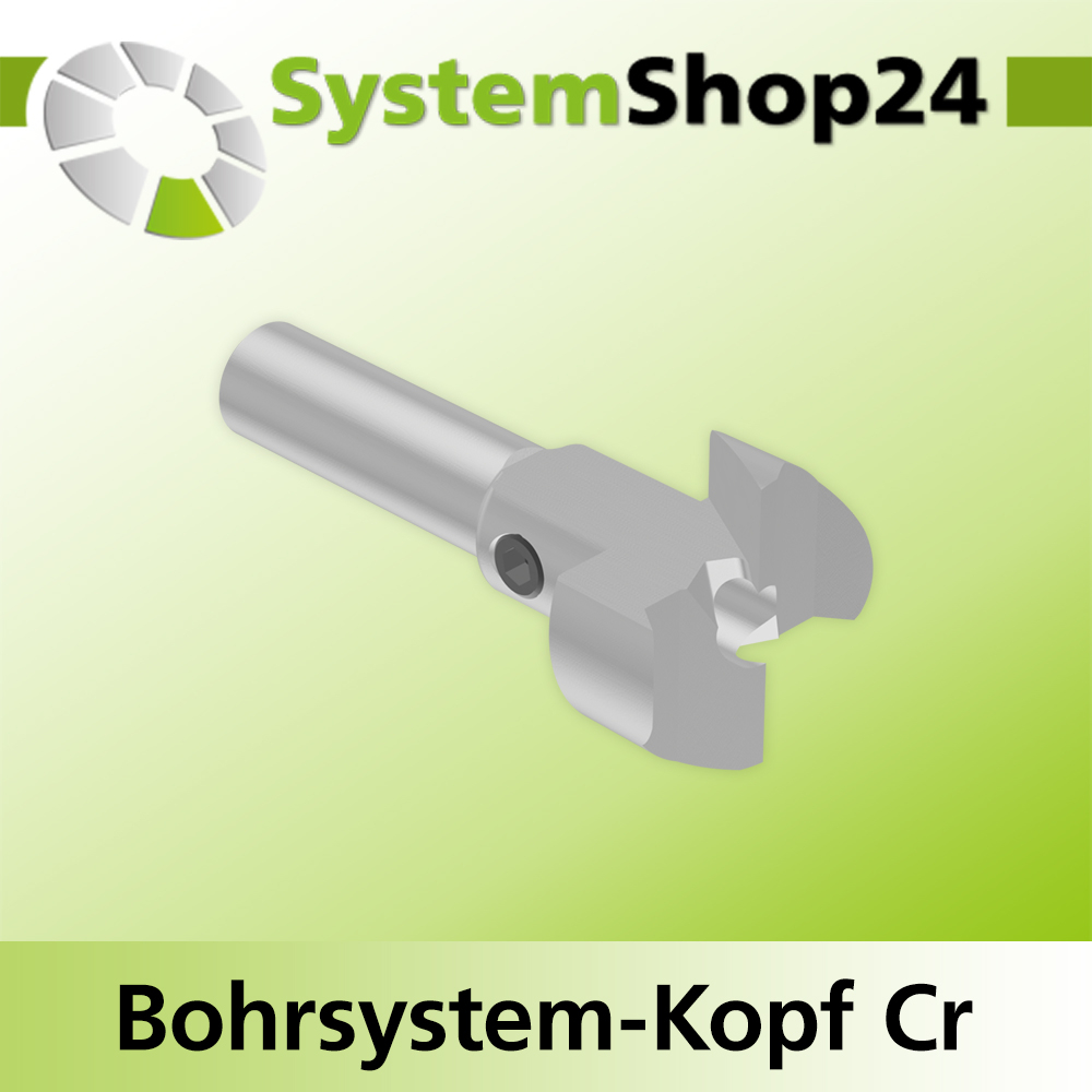 Systemshop24 Bohrsystem-Kopf Chromstahl D22mm d6mm H9mm SW8mm GL50mm S Gewinde innen M6 mit Passsitz RL