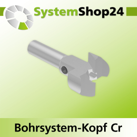Systemshop24 Bohrsystem-Kopf Chromstahl D23mm d6mm H9mm SW8mm GL50mm S Gewinde innen M6 mit Passsitz RL