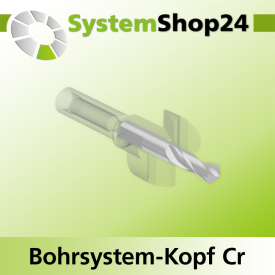 Systemshop24 Bohrsystem-Kopf Chromstahl D23mm d6mm H9mm SW8mm GL50mm S Gewinde innen M6 mit Passsitz RL