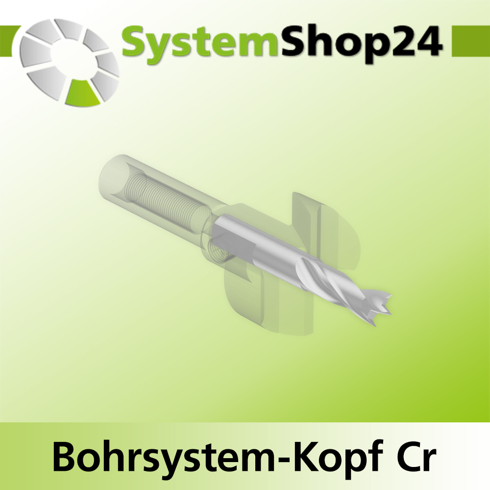 Systemshop24 Bohrsystem-Kopf Chromstahl D24mm d6mm H9mm SW8mm GL50mm S Gewinde innen M6 mit Passsitz RL