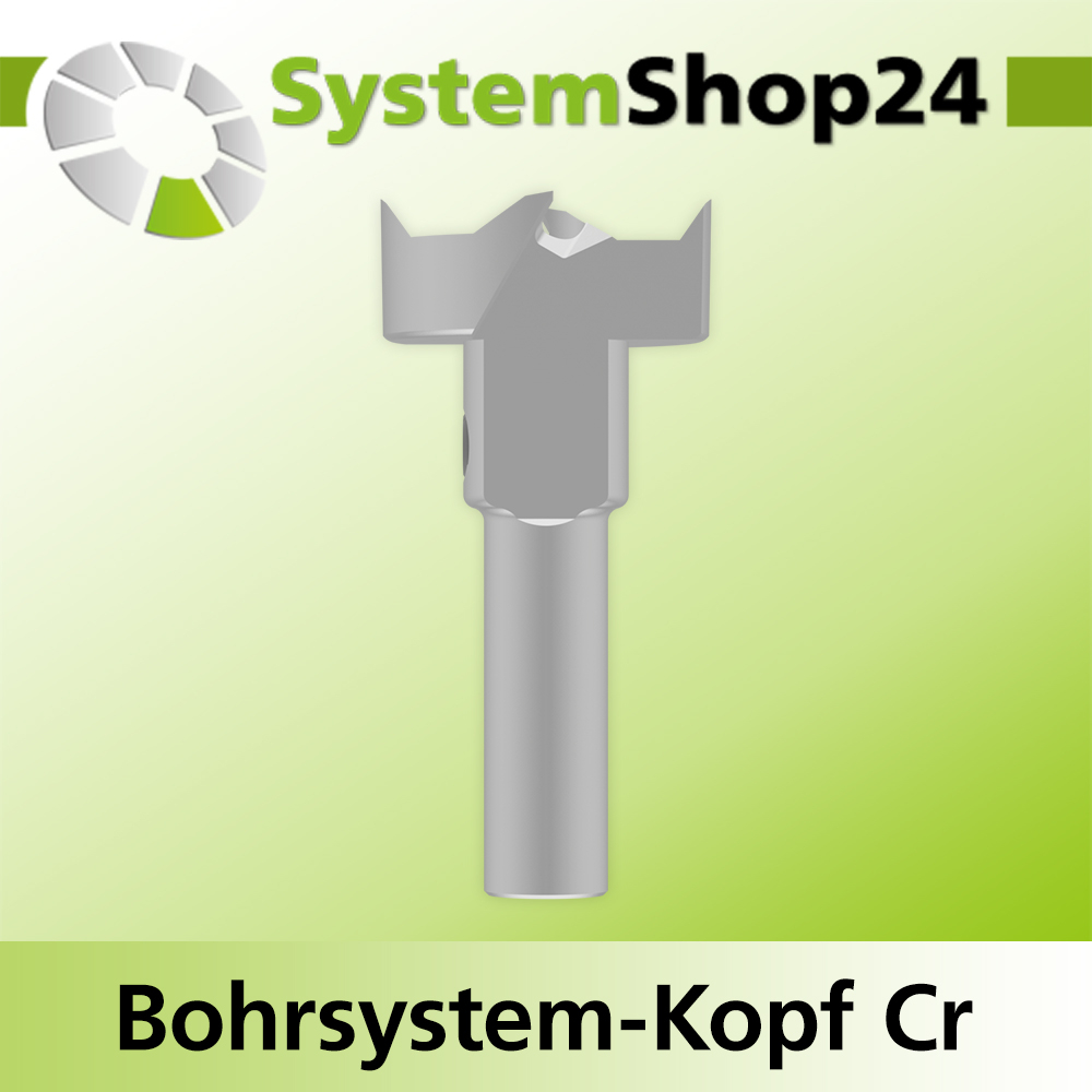 Systemshop24 Bohrsystem-Kopf Chromstahl D24mm d6mm H9mm SW8mm GL50mm S Gewinde innen M6 mit Passsitz RL