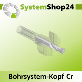 Systemshop24 Bohrsystem-Kopf Chromstahl D25mm d6mm H9mm SW8mm GL50mm S Gewinde innen M6 mit Passsitz RL