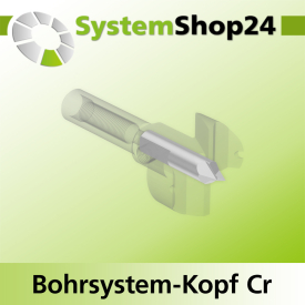 Systemshop24 Bohrsystem-Kopf Chromstahl D25mm d6mm H9mm SW8mm GL50mm S Gewinde innen M6 mit Passsitz RL