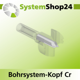 Systemshop24 Bohrsystem-Kopf Chromstahl D26mm d6mm H9mm SW8mm GL50mm S Gewinde innen M6 mit Passsitz RL