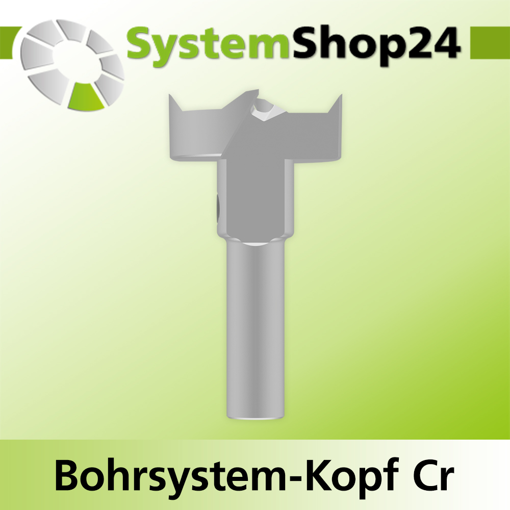 Systemshop24 Bohrsystem-Kopf Chromstahl D27mm d6mm H9mm SW8mm GL50mm S Gewinde innen M6 mit Passsitz RL