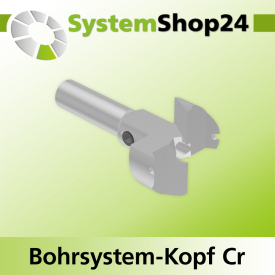 Systemshop24 Bohrsystem-Kopf Chromstahl D27mm d6mm H9mm SW8mm GL50mm S Gewinde innen M6 mit Passsitz RL
