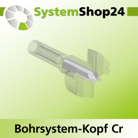 Systemshop24 Bohrsystem-Kopf Chromstahl D27mm d6mm H9mm SW8mm GL50mm S Gewinde innen M6 mit Passsitz RL