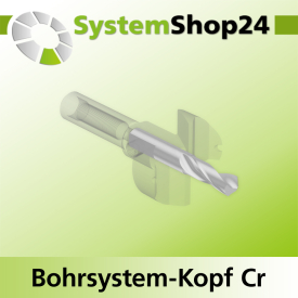 Systemshop24 Bohrsystem-Kopf Chromstahl D27mm d6mm H9mm SW8mm GL50mm S Gewinde innen M6 mit Passsitz RL