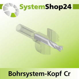 Systemshop24 Bohrsystem-Kopf Chromstahl D28mm d6mm H9mm SW8mm GL50mm S Gewinde innen M6 mit Passsitz RL
