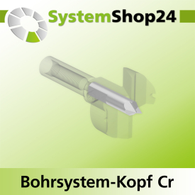 Systemshop24 Bohrsystem-Kopf Chromstahl D28mm d6mm H9mm SW8mm GL50mm S Gewinde innen M6 mit Passsitz RL