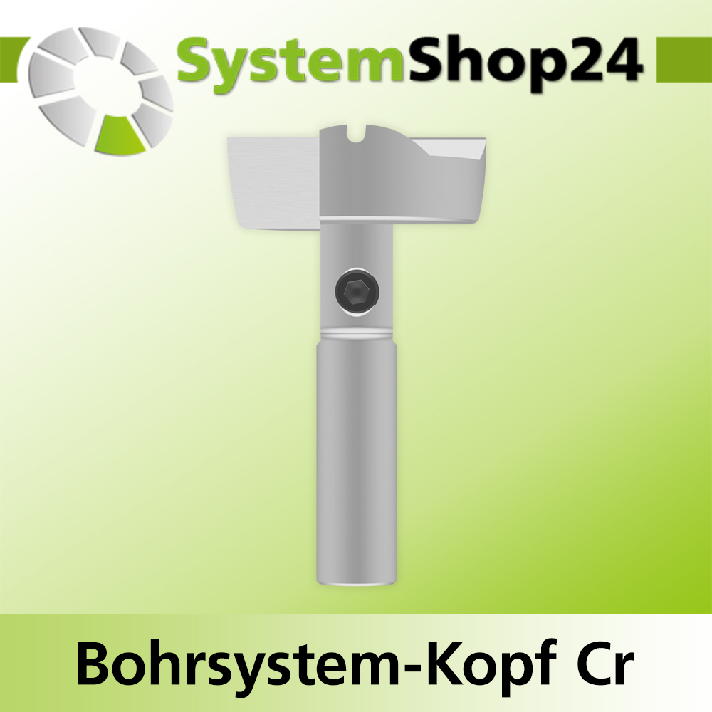 Systemshop24 Bohrsystem-Kopf Chromstahl D29mm d6mm H9mm SW8mm GL50mm S Gewinde innen M6 mit Passsitz RL