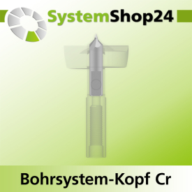Systemshop24 Bohrsystem-Kopf Chromstahl D29mm d6mm H9mm SW8mm GL50mm S Gewinde innen M6 mit Passsitz RL