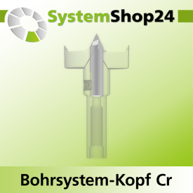 Systemshop24 Bohrsystem-Kopf Chromstahl D29mm d6mm H9mm SW8mm GL50mm S Gewinde innen M6 mit Passsitz RL